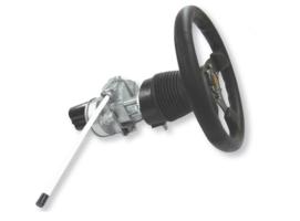 HELM-1 para NAC-1 y NAC-2