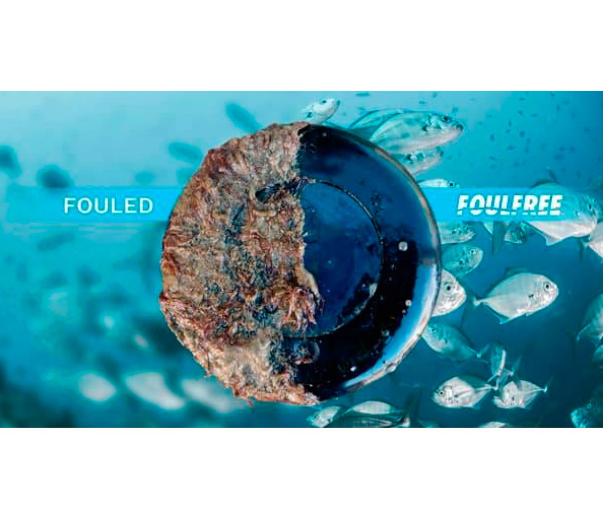 Kit Foulfree