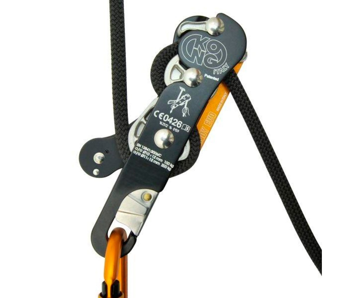 Kong Indy Evo Plus