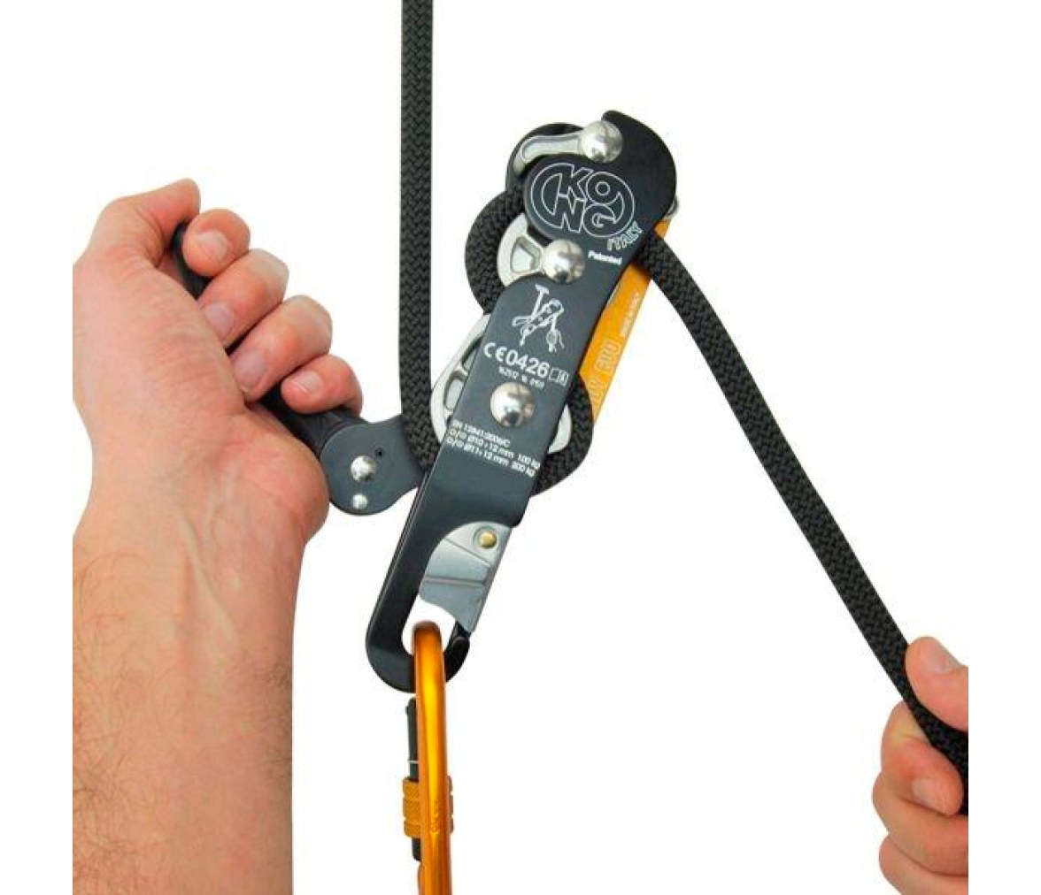 Kong Indy Evo Plus