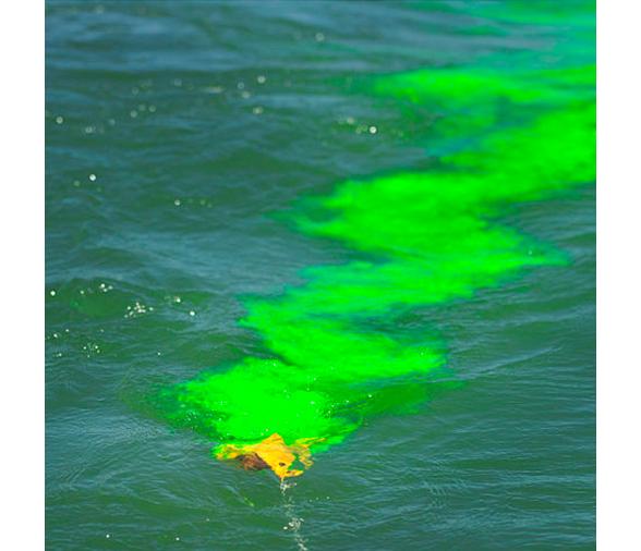 Lalizas Marcador de tinte marino