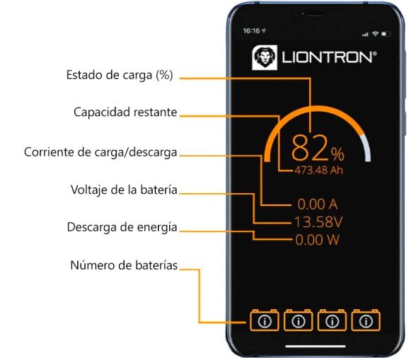 LIONTRON Batería Litio Marina IP67 LiFePO4 25.6V 100Ah LX Bluetooth
