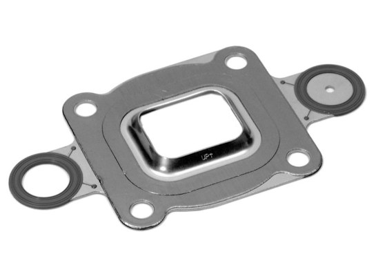 Mercruiser Junta Codo Colector Circuito Estandar