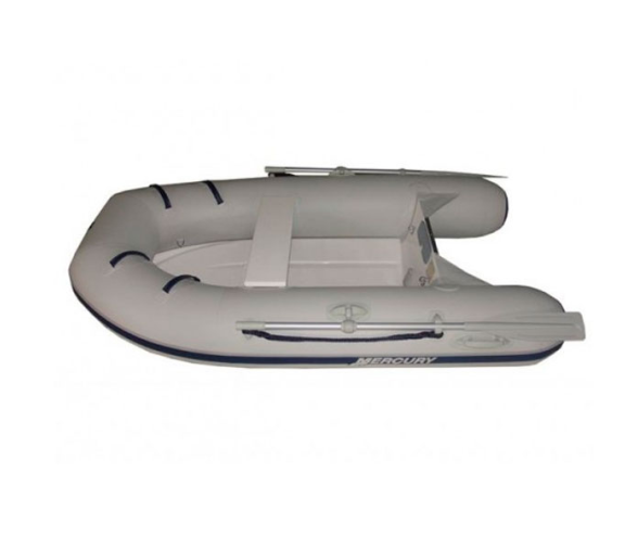 Mercury Embarcacion Semirrigida 250 Dynamic