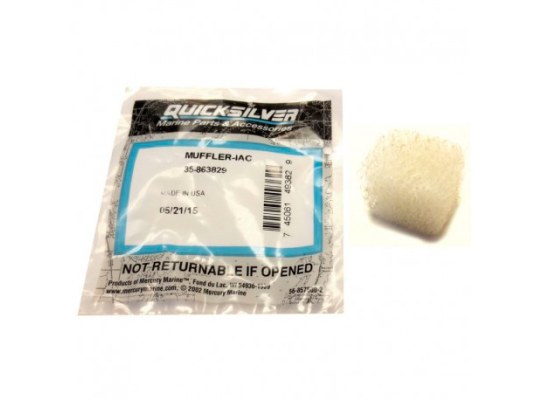 Mercury IAC air filter.