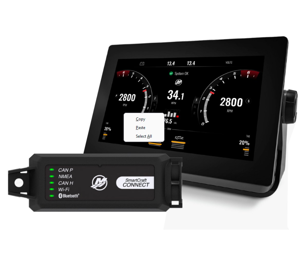 Mercury SmartCraft Connect Bajo Consola