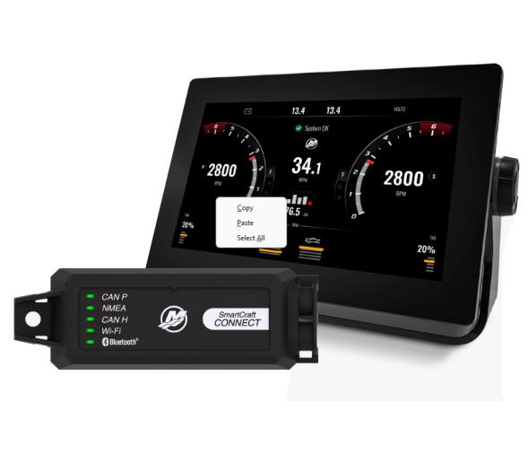 Mercury SmartCraft Connect Bajo Consola