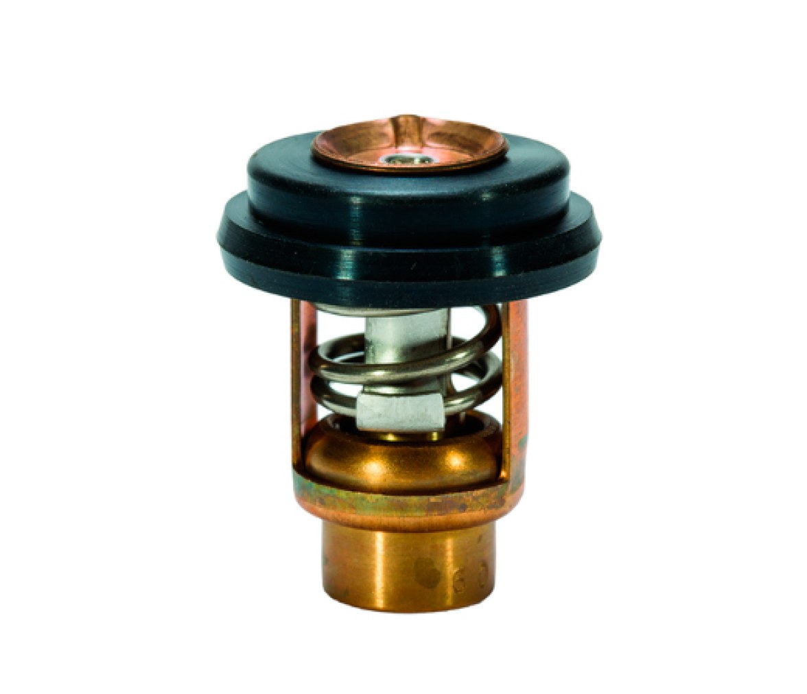 Mercury Termostato 8M0119207