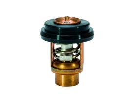 Mercury Termostato 8M0119207