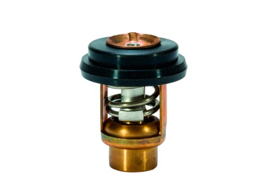 Mercury Termostato 8M0119207