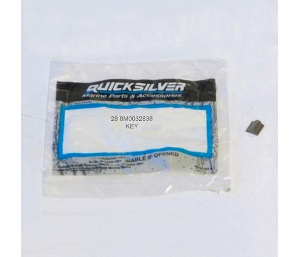 Mercury Chaveta Bomba de agua