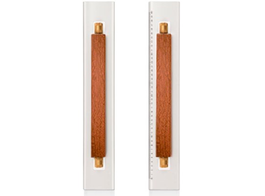 Micron Reglas Rodantes