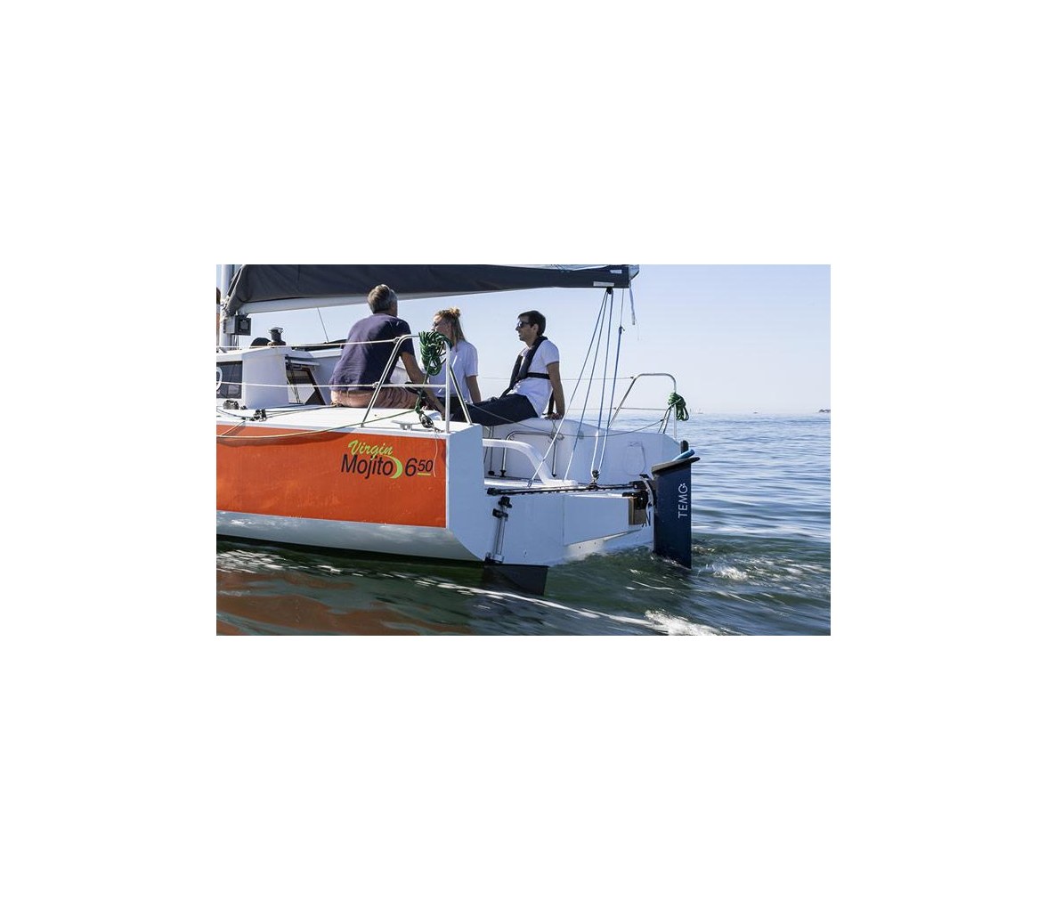 Motor fueraborda eléctrico TEMO·1000 (1100 W)