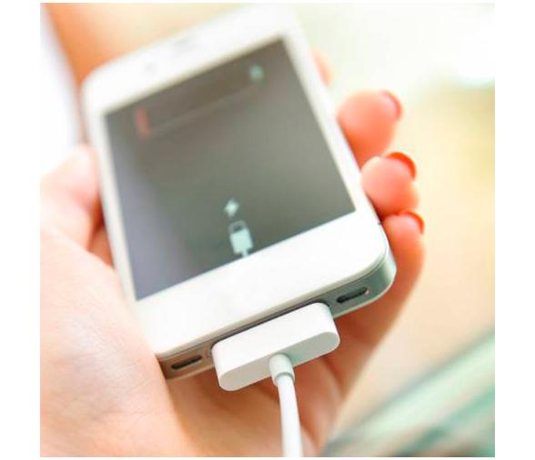 Nevera Portatil Termoelectrica Mobicool G30 AC-DC