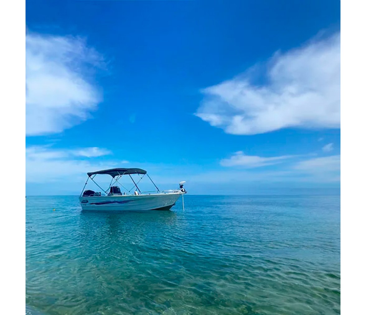 Ocean South Toldo Bimini 4 Arcos Arena Aluminio