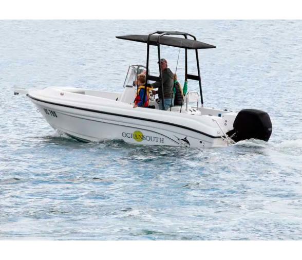 Oceansouth T-Top Targa