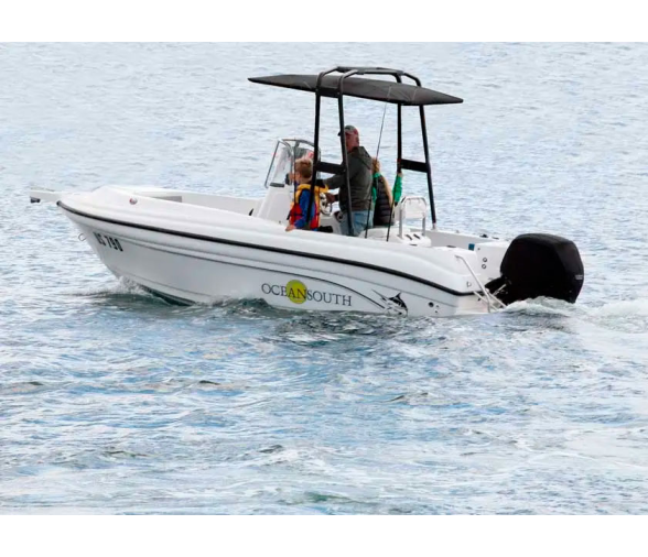 Oceansouth T-Top Targa