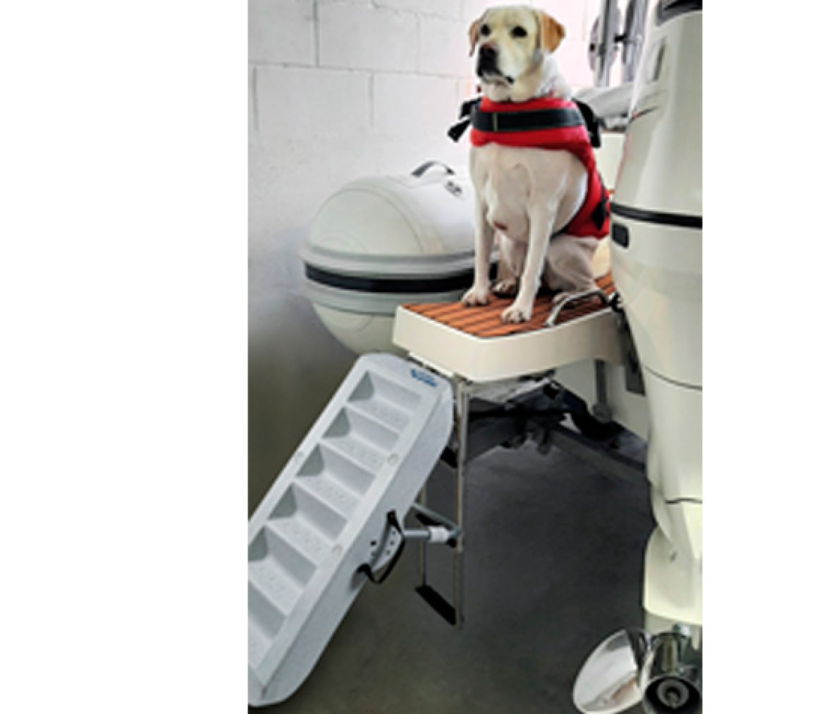 Escalera Para Perros