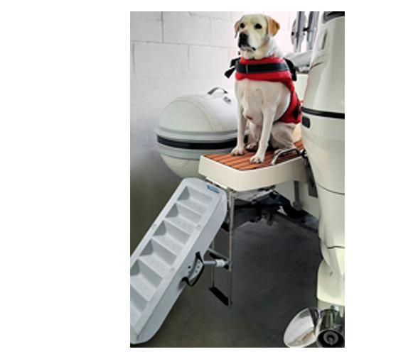 Escalera Para Perros