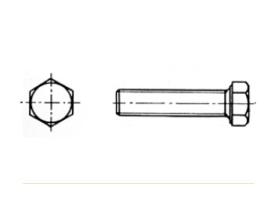 AISI 316 DIN 933 Blister Heaxagon Head Bolt