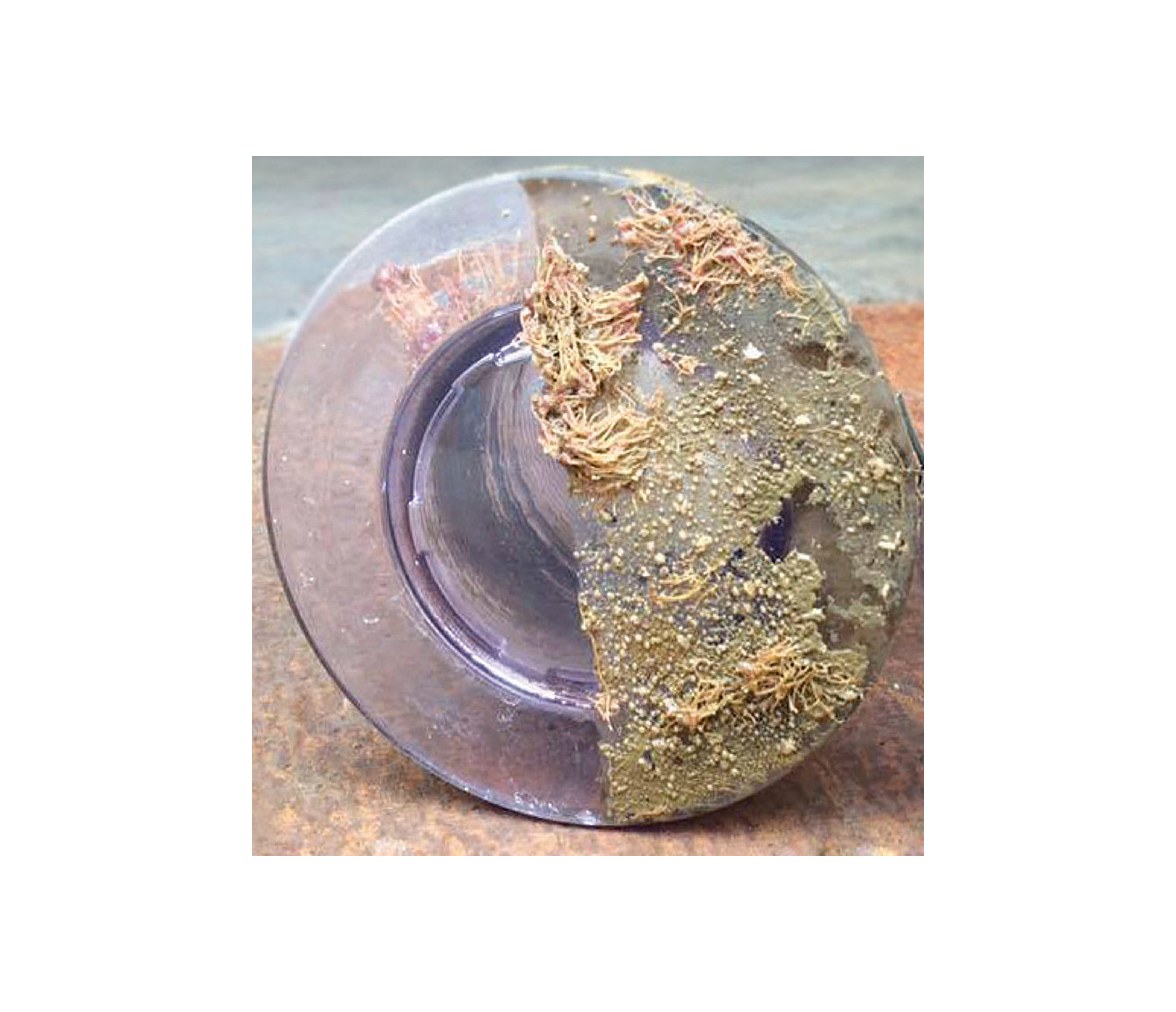 Release Silicon Paint for Underwater Lights