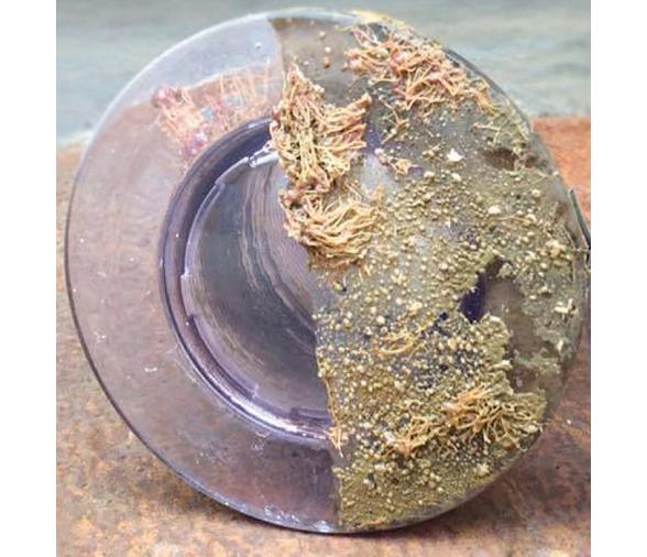 Pintura de Silicona de Liberacion para Luces Subacuaticas