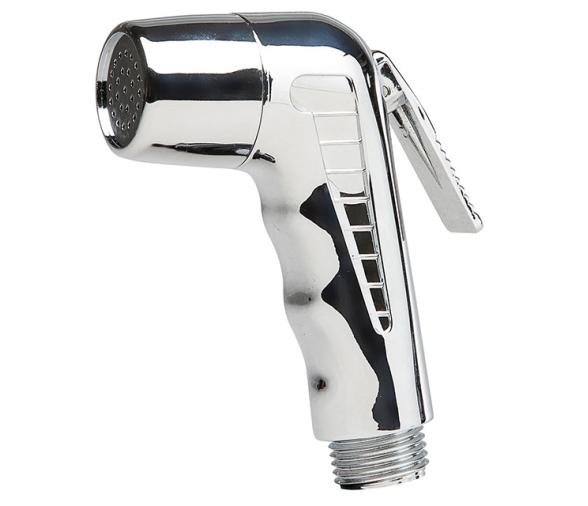 Pomo Ducha Standard Cromado