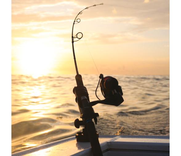 Railblaza Portacañas Hexx Heavy Duty