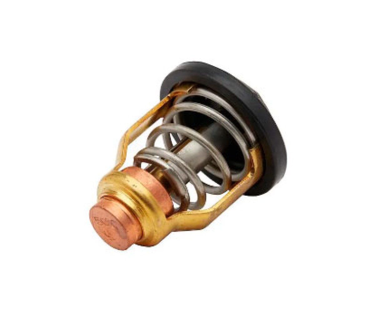 Quicksilver Termostato Mercury 50º