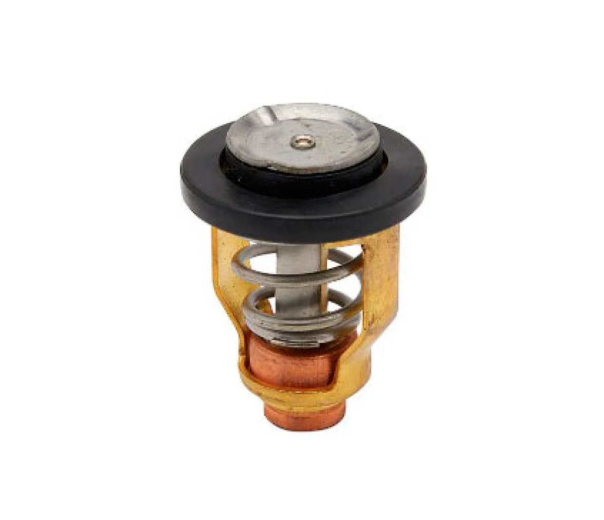 Quicksilver Termostato Mercury 50º