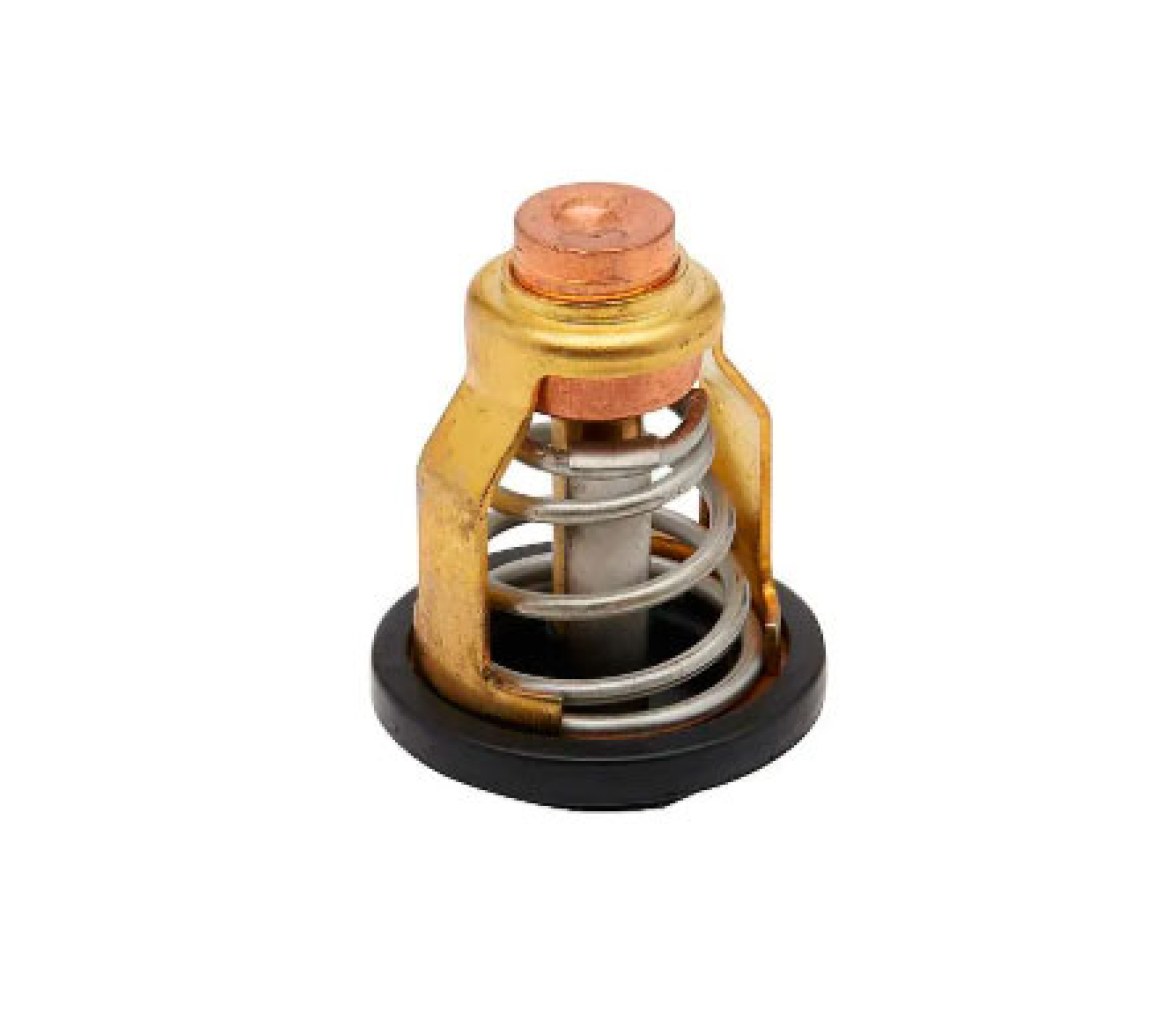 Quicksilver Termostato Mercury 50º