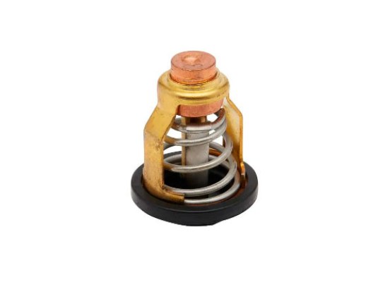 Quicksilver Termostato Mercury 50º