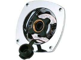 Regulador de Presion Shurflo