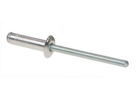 Stainless Steel Rivet