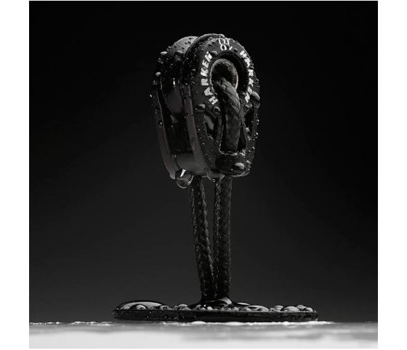 Ropeye Anilla de Alta Resistencia con Polea