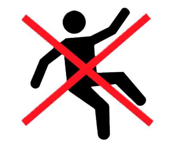 Rosh Cinta de Seguridad Negra