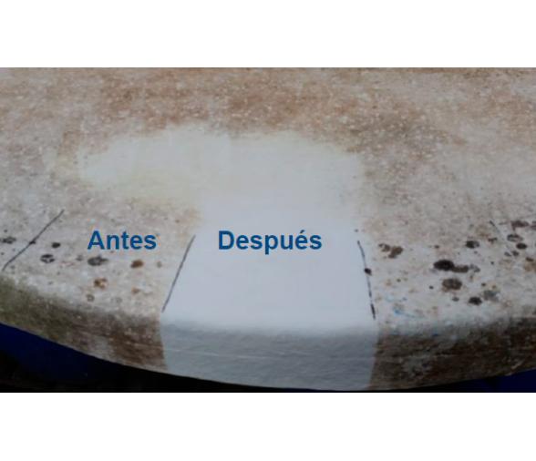 Sadira Limpiador Moho