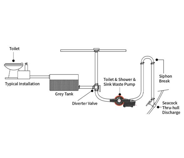 Seaflo Bomba de Agua Ducha y Aguas residuales 12V