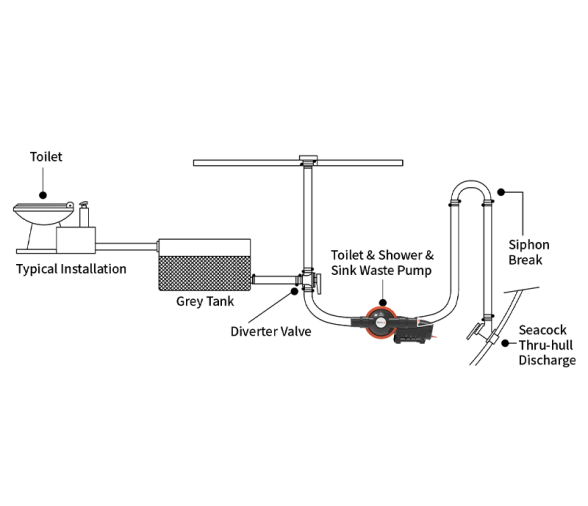 Seaflo Bomba de Agua Ducha y Aguas residuales 12V