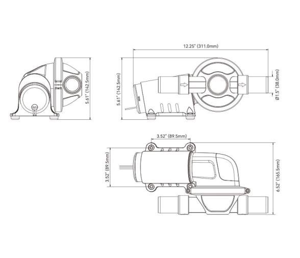 Seaflo Bomba de Agua Ducha y Aguas residuales 12V