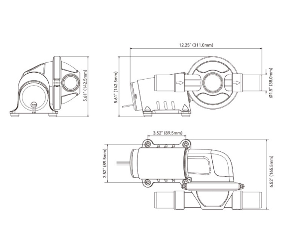 Seaflo Bomba de Agua Ducha y Aguas residuales 12V