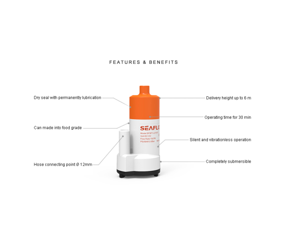 Seaflo Bomba sumergible de bajo voltaje 16 LPM