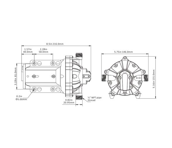Seaflo Kit de Bomba de Lavado 5,2GPM 4,8 Bar