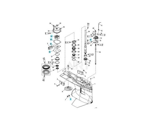 Sierra Kit de Reparación Bomba de Agua 8M0100526