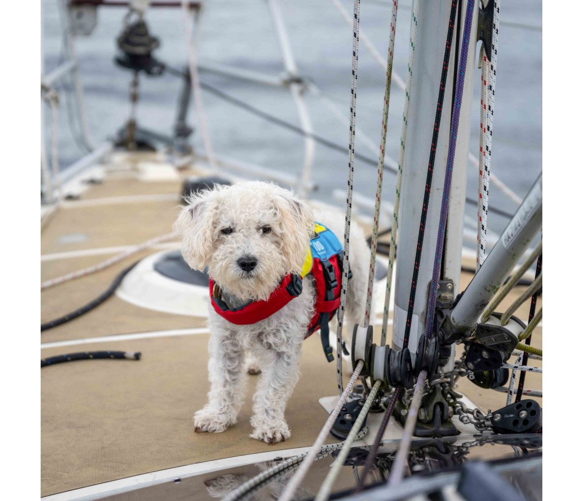 Spinlock Chaleco de flotación para perros FIDO