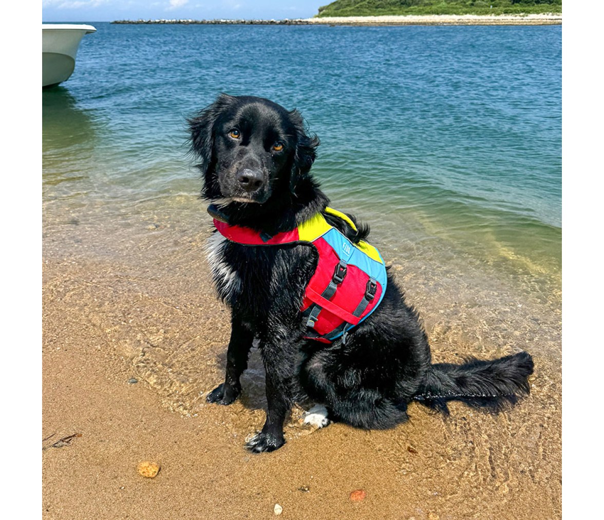 Spinlock Chaleco de flotación para perros FIDO