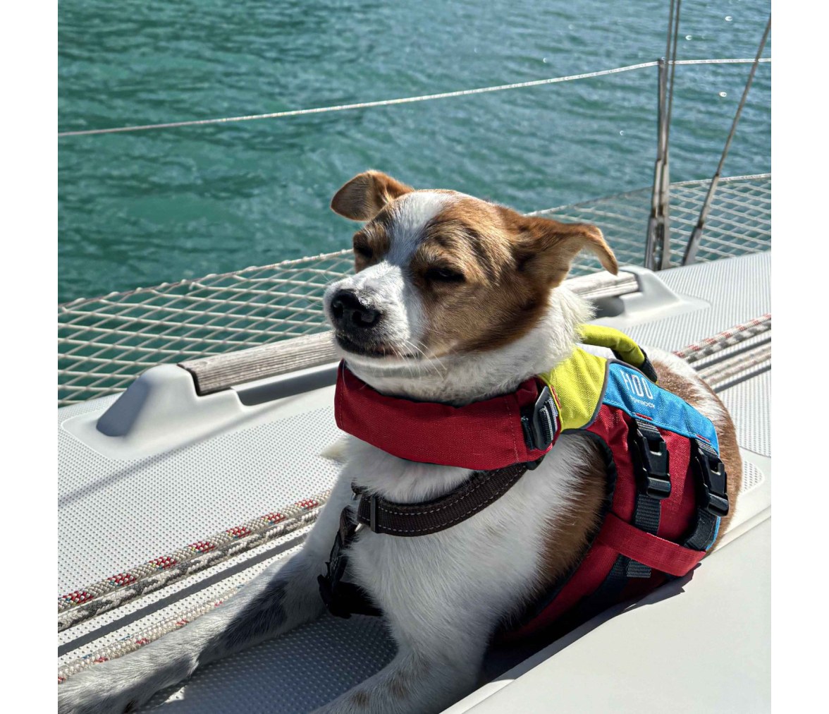 Spinlock Chaleco de flotación para perros FIDO