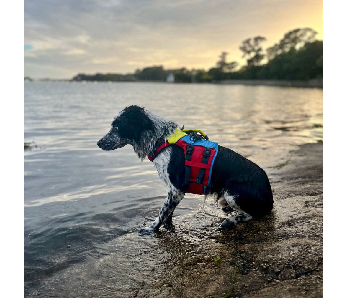 Spinlock Chaleco de flotación para perros FIDO