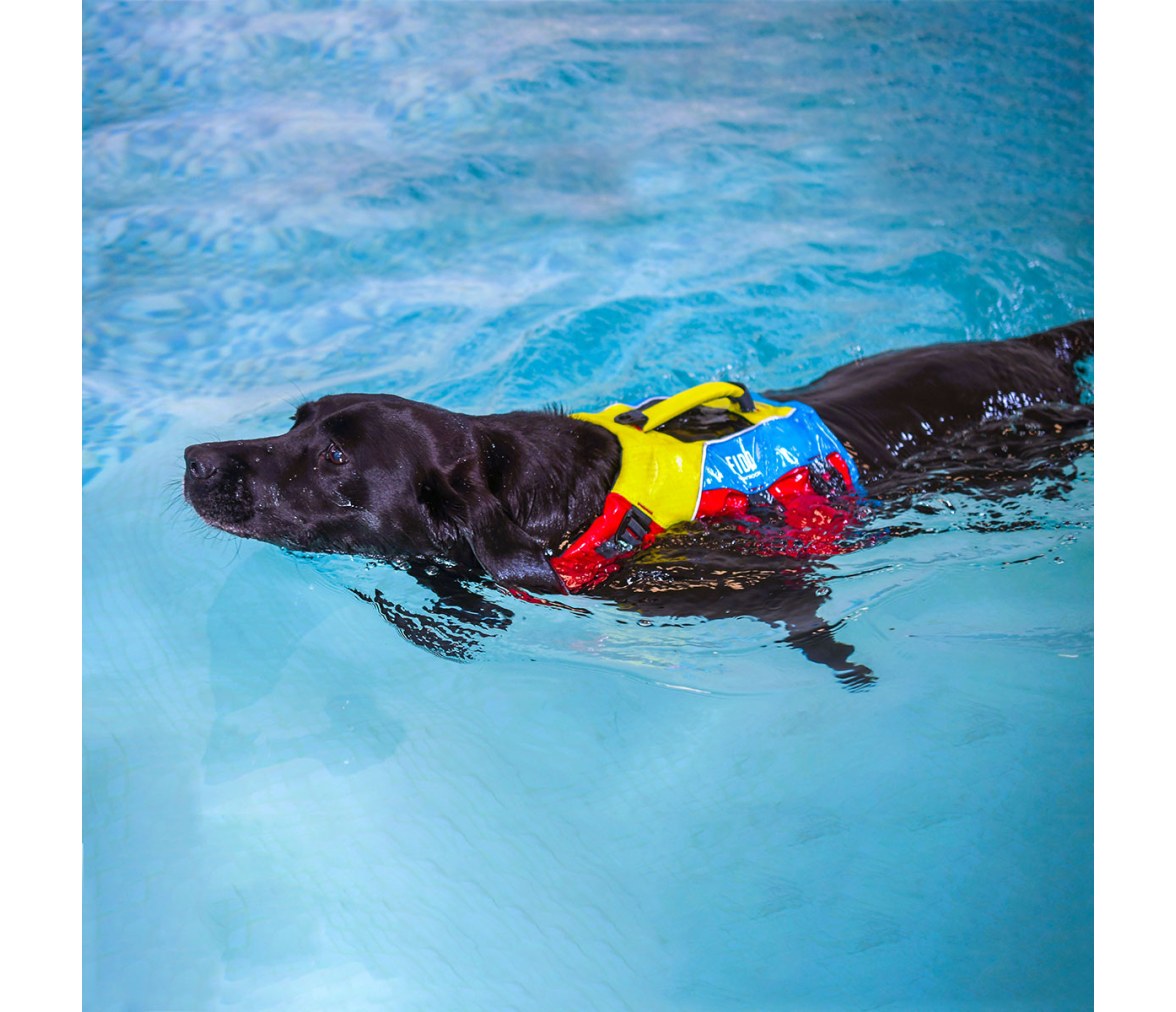 Spinlock Chaleco de flotación para perros FIDO