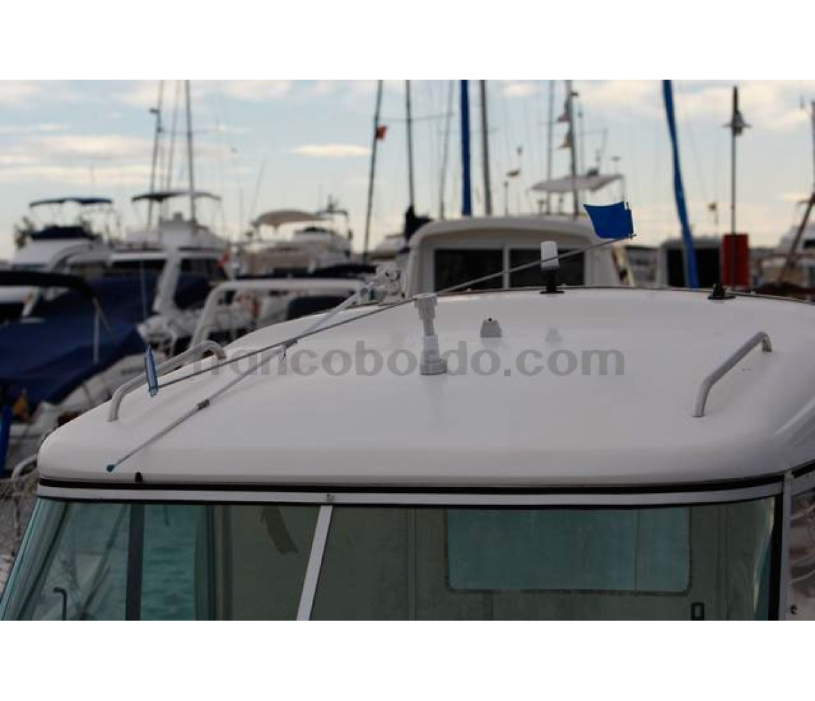 StopGull Air Espanta Gaviotas XL